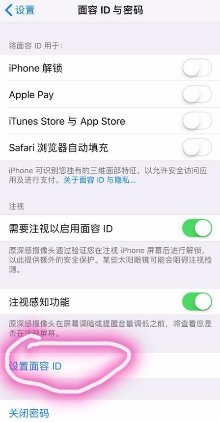 在iPhone xs max中设置人脸识别的图文教程截图