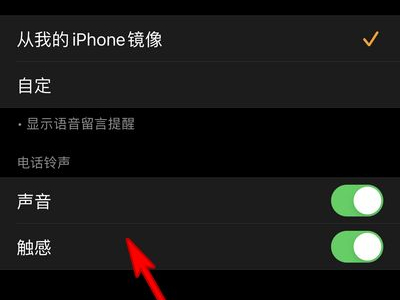 apple watch怎么改铃声?apple watch改铃声教程截图