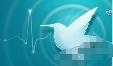 11.png 解决迅雷无法登陆的具体操作步骤截图