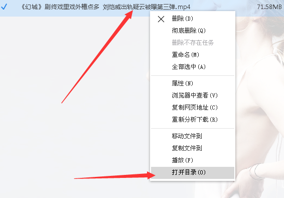 维棠FLV下载网页视频的基础操作截图