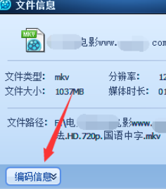 qq播放器查看文件信息的简单操作截图
