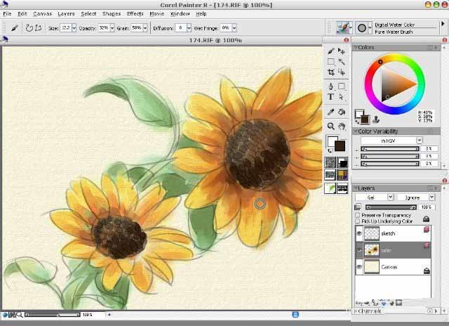 painter8绘画水彩效果向日葵的详细使用方法截图