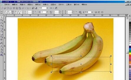 使用CorelDraw制作逼真香蕉图形的具体步骤截图