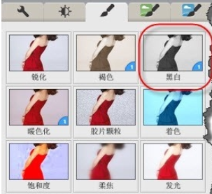 Google Picasa将彩色照片改成黑白的方法步骤截图
