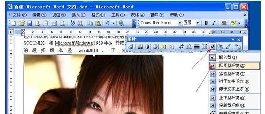 Microsoft Office 2003设置四周型环绕图片的详细操作教程截图