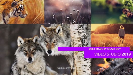 思杰马克丁会声会影官方教程:制作九宫格拼图镜头缩放效果截图