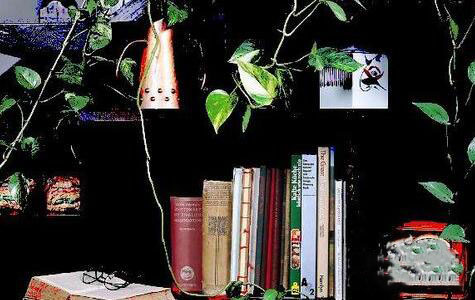 photoshop做出色调分离效果的详细方法截图