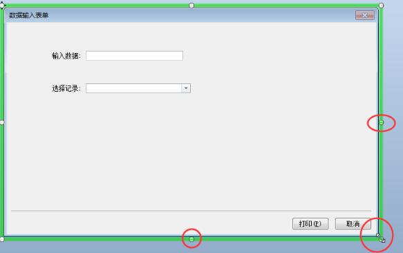 BarTender调整数据输入表单大小的操作方法截图