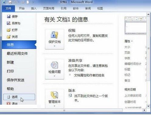 word2010文档中键入时标记语法错误功能的操作方法截图