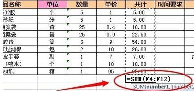 Excel函数求和结果总显示公式的处理教程截图