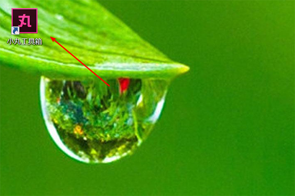 小丸工具箱怎么转成mp4?小丸工具箱转成mp4的方法技巧截图