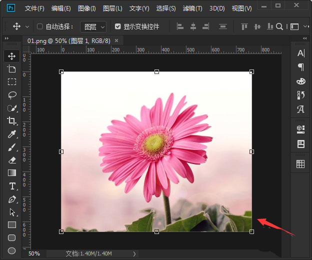 ps怎么添加海报边缘滤镜效果?ps添加海报边缘滤镜效果具体步骤