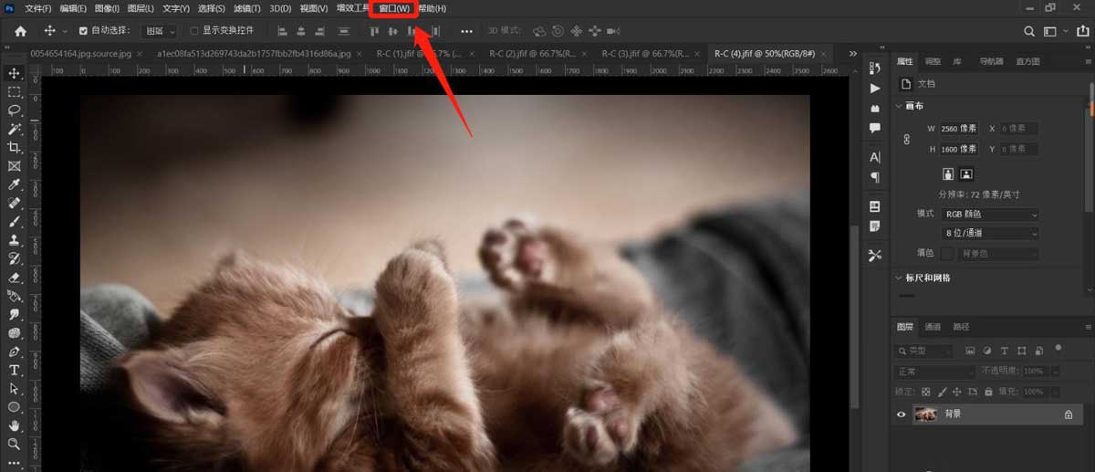 ps如何设置仿制源模式?ps设置仿制源模式详细步骤