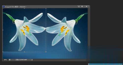 PS怎么给照片制作对称的图案(5)
