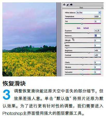 PS调整油菜花图片的光线与色彩(2)