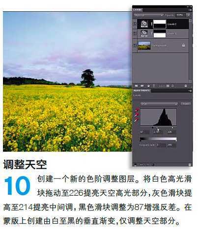 PS调整油菜花图片的光线与色彩(9)