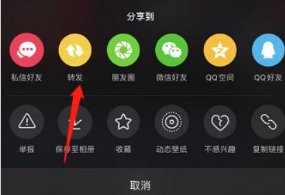 抖音转发的视频在哪里(2)