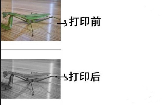 Win10打印图片没打印全怎么办?