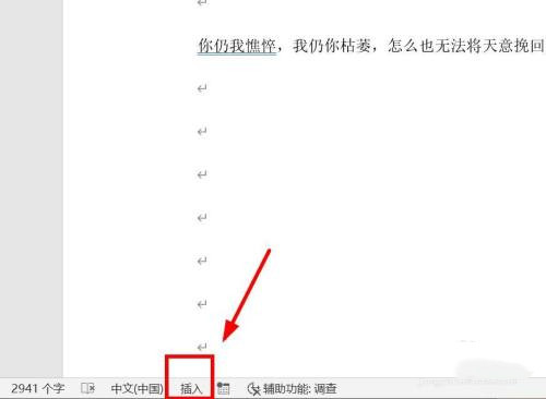 WPS文档编辑时吞字怎么办?