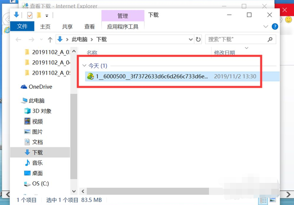 Win10专业版IE浏览器下载的文件在哪?