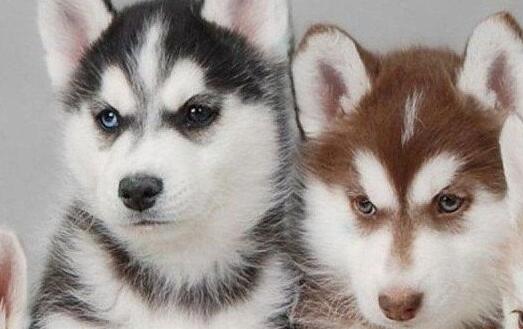 Win10显示器颜色怎么调节?Win10显示器颜色调节方法分享