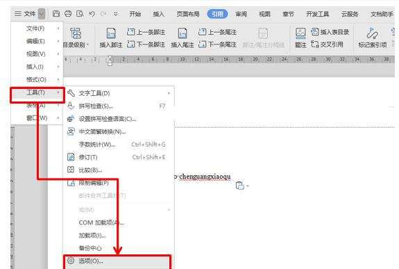 WPS/Word如何去除烦人的波浪线?两步轻松去掉WPS/Word波浪线