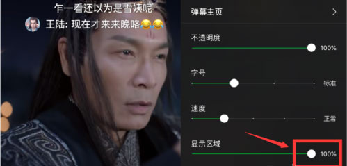 爱奇艺怎么设置弹幕显示区域?6个步骤让你轻松设置弹幕区域!