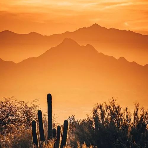 2020最流行微信头像:成熟稳重的男生头像大全!