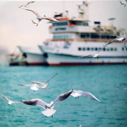 2020最流行微信头像:成熟稳重的男生头像大全!