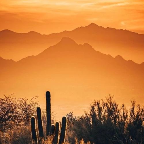 2020年最流行的微信头像!美美哒的头像赶紧换起来!