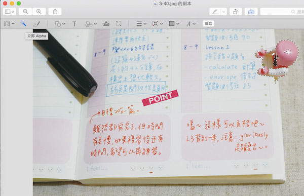 Mac OS的浏览功能有什么用?Mac预览功能中的一些实用技巧