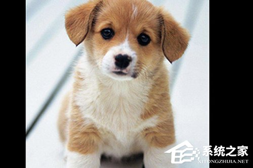 PS人物多重镜像怎么做?人物多重镜像效果制作方法详解