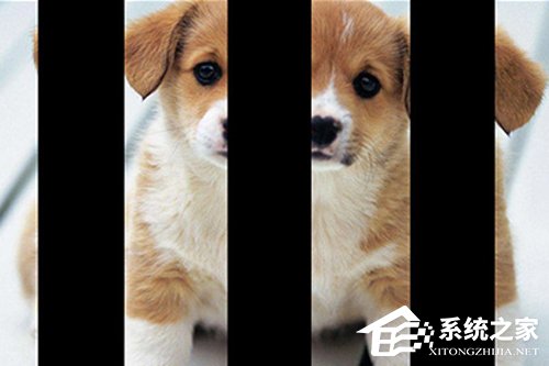 PS人物多重镜像怎么做?人物多重镜像效果制作方法详解