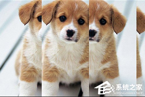 PS人物多重镜像怎么做?人物多重镜像效果制作方法详解