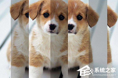 PS人物多重镜像怎么做?人物多重镜像效果制作方法详解