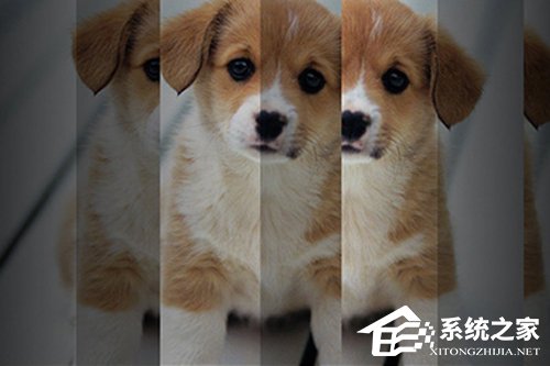 PS人物多重镜像怎么做?人物多重镜像效果制作方法详解