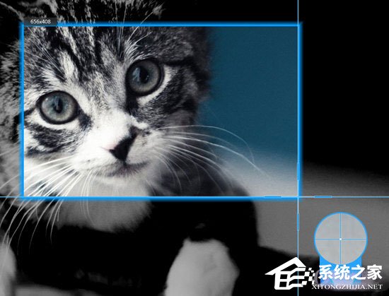 Apowersoft录屏王怎么录制视频?Apowersoft录屏王录制视频的方法