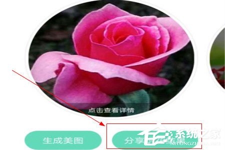 形色识花怎么分享到微信?形色识花怎么分享到微信的方法