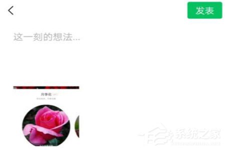 形色识花怎么分享到微信?形色识花怎么分享到微信的方法