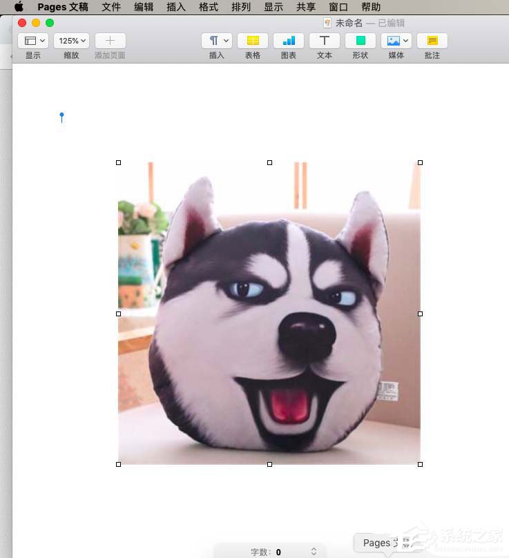 pages文章如何插入引文?pages文章插入引文的方法