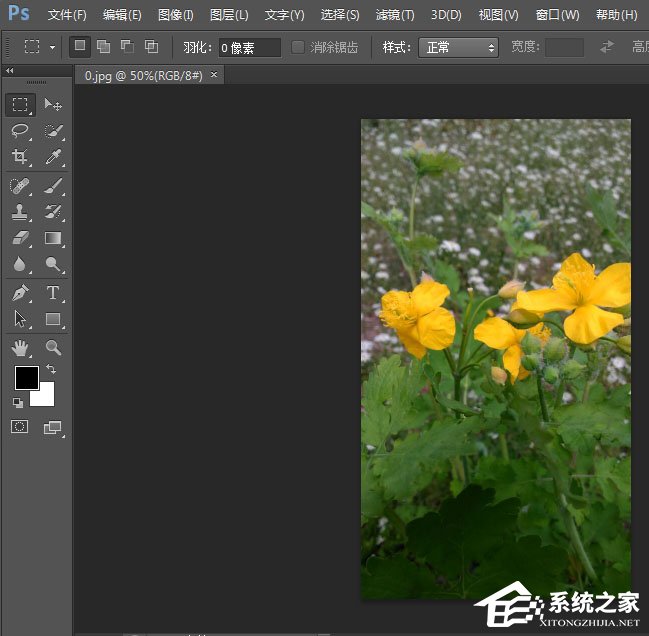 photoshop cs6如何一次打印多张照片?pscs6一次打印多张照片的方法
