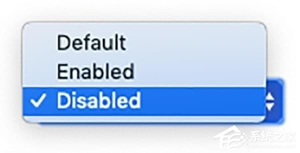 怎么禁止谷歌浏览器隐藏url的www前缀?禁止Chrome浏览器隐藏url的www前缀的方法