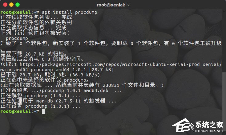 Linux系统如何安装使用ProcDump for Linux?