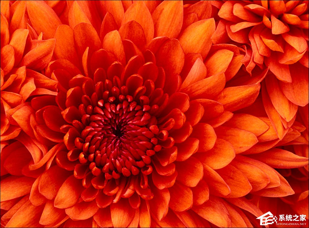 Win7屏保怎么设置?Win7屏幕保护程序如何打开?