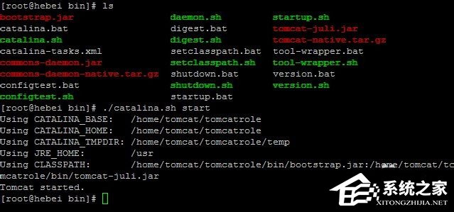Linux系统如何查看和结束进程?