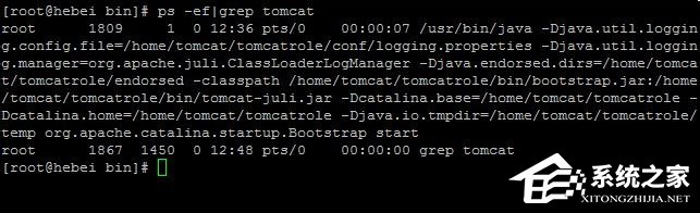 Linux系统如何查看和结束进程?