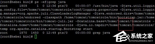 Linux系统如何查看和结束进程?