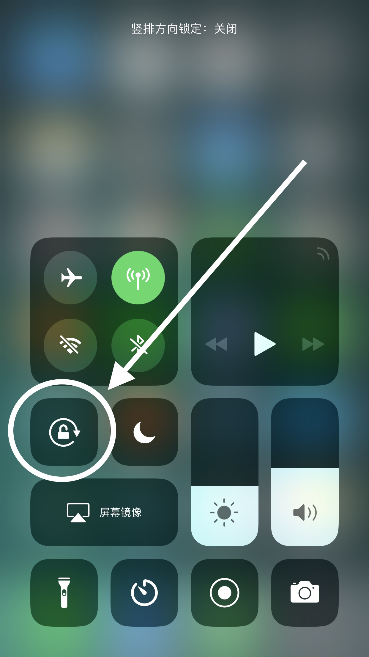 我来分享在苹果手机百度云网盘中将bt种子打开的方法分享。