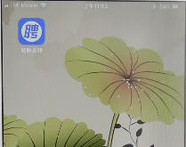 我来教你智联招聘APP隐藏简历的图文操作。