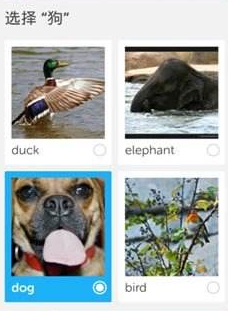 教你多说英语APP的具体使用过程讲解。